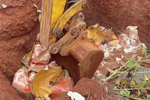 Tiêu hủy hơn nửa tấn thịt đông lạnh chưa qua kiểm dịch