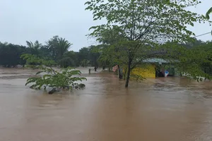 Đắk Lắk: Mưa lớn gây ngập, thiệt hại nhiều diện tích cây trồng