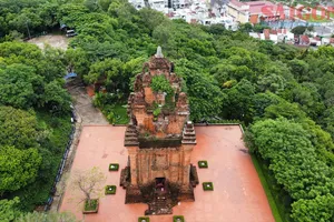 Tháp Nhạn: Di sản kiến trúc Chăm Pa cổ ở xứ "hoa vàng trên cỏ xanh"