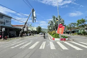 Mái tôn của người dân ở phường Sông Cầu bị bão cuốn bay lên trụ điện