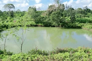 Đắk Lắk: Rủ nhau ra hồ tắm, 3 em nhỏ bị đuối nước