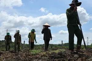 Mưu sinh dưới chân núi lửa triệu năm Chư B’lúk