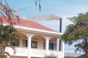 Nhà máy chế biễn gỗ cao su xả khói ngay cạnh trường học. Ảnh: HỮU PHÚC