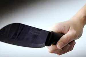 Chém chết bố mẹ vợ rồi tự tử