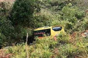 Vụ xe khách lao xuống vực đèo Lò Xo: Làm rõ trách nhiệm của chủ xe để xử lý nghiêm