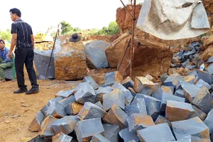 Vụ bắt điểm khai thác đá lậu trong rẫy điều: Xã lập biên bản nhưng “đá tặc”  vẫn ung dung khai thác 