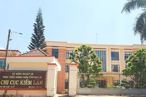 Đề nghị điều tra vụ mua sắm thiết bị phòng cháy ở Chi cục Kiểm lâm Gia Lai 