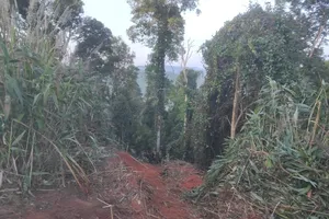 Xe chở khoai mì lao xuống vực sâu, 6 người chết, 3 bị thương