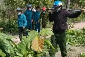 Nhân viên bảo vệ rừng bị dọa “giết cả nhà“