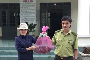 Tiếp nhận 6 cá thể rùa đầu to nguy cấp, quý hiếm 