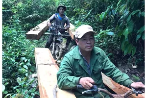 2 đối tượng vừa bị khởi tố