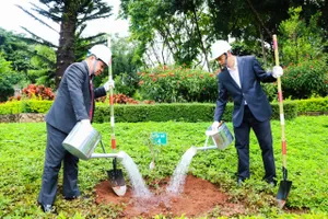 Gia Lai tiếp nhận 24 cây hoa anh đào do Nhật Bản trao tặng