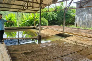 Vụ Cấp nước sinh hoạt đục ngàu: Làm rõ trách nhiệm giám đốc trung tâm 