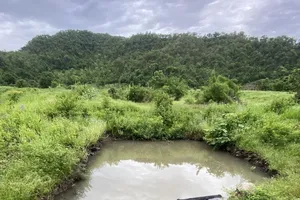 3 cháu nhỏ tử vong dưới hồ nước