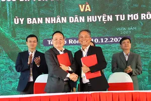 Tìm giải pháp nâng cao giá trị sâm Ngọc Linh