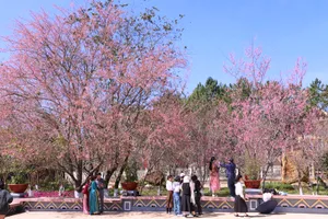 Măng Đen trình diễn nghệ thuật xuyên tết phục vụ khách du xuân