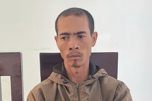 Tạm giữ nghi phạm chặt phá cà phê, hồ tiêu ở Gia Lai 