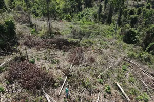 Vụ phá rừng ở Kon Tum: Đủ căn cứ khởi tố vụ án, yêu cầu tháo dỡ nhà trái phép