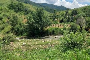 Dự án nhà máy thủy điện Đăk Pru 3 chậm tiến độ 30 tháng