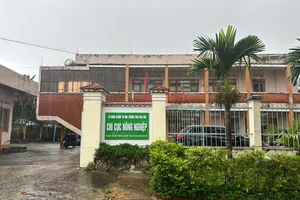 Xử lý trách nhiệm tập thể, cá nhân cấp sai giấy xác nhận mã số vùng trồng sâm Ngọc Linh