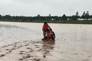 Quảng Ngãi: Công an giải cứu 2 nạn nhân bị đuối nước trên sông Đăk Bla