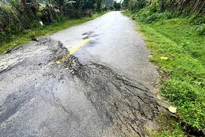 Quảng Ngãi: Nhiều tuyến đường huyết mạch bị sạt lở