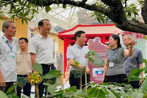 Ông Nguyễn Hoàng Giang (thứ 2 từ phải sang), Chủ tịch UBND tỉnh Quảng Ngãi kiểm tra tiến độ thi công không gian trưng bày của Quảng Ngãi. Ảnh: Sở VH-TT-DL tỉnh Quảng Ngãi