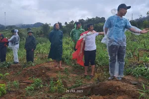 Vụ “Đồi núi rạn nứt, uy hiếp người dân”: Đề xuất hạ taluy ngăn sạt lở 