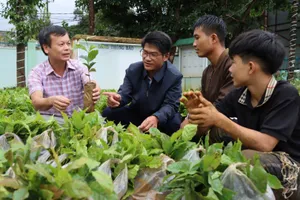 Hiệu quả giảm nghèo ở Tu Mơ Rông