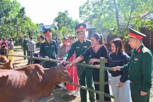 Quảng Ngãi: Trao tặng 49 con bò giống cho người dân vùng biên giới