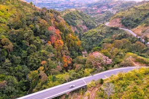 Đèo Măng Đen uốn lượn, 2 bên là rừng tự nhiên thay lá