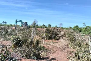 Khẩn trương chi trả bồi thường Dự án thành phần 3 cao tốc Quy Nhơn – Pleiku