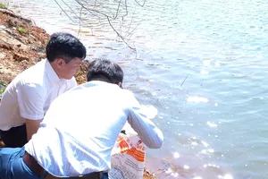 Quảng Ngãi: Thả 5.000 con cá xuống hồ Đăk Ke