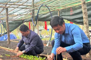 Quảng Ngãi: Đóng 300.000 bầu cà phê giống cấp cho đồng bào Xơ Đăng