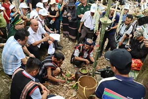 Gia Lai: Độc đáo lễ hội cúng rừng