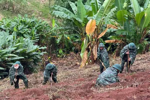Những công trình đậm tình quân dân 