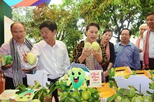 Modern co-ops continue to thrive in Vietnam