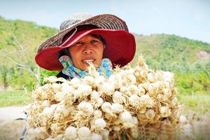 Central Vietnam embraces OCOP scheme