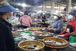 Dự kiến, mỗi ngày yêu cầu chỉ 30% số lượng tiểu thương buôn bán cá đến Cảng cá Thọ Quang lấy hàng