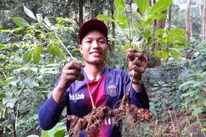 Diễn đàn chia sẻ kinh nghiện các dự án thuận thiên tại vùng Trung Trường Sơn 