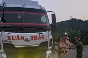 Ô tô tải biển kiểm soát 50H-141.58. Ảnh: CAĐN