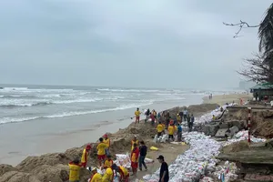Hơn 200 người được huy động khắc phục tình trạng xâm thực, sạt lở tại bãi biển du lịch Đà Nẵng. Ảnh: XUÂN QUỲNH