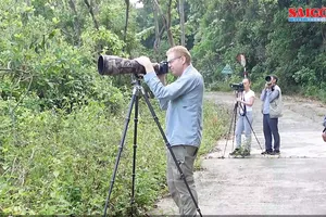 Xây dựng bản sắc du lịch mới từ biển – rừng – di sản