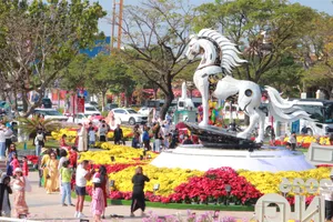 Đường hoa Đà Nẵng tấp nập khách tham quan