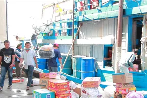 Nhộn nhịp mở biển đầu xuân