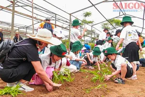 Đánh thức giá trị từ những cánh đồng quê