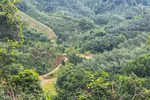 Đường đèo dốc đến thôn, nơi cán bộ xã biên giới Hùng Sơn (TP Đà Nẵng) tổ chức hỗ trợ người dân