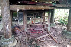 Đền Trạng nguy cơ thành phế tích