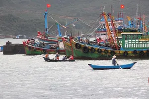 Chấm dứt tình trạng tàu cá Việt Nam vi phạm quy định đánh bắt thủy sản