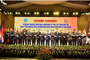 Tăng cường hợp tác trong vấn đề an ninh lương thực giữa các nước ASEAN +3